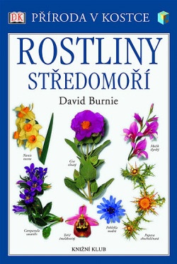 Rostliny středomoří - Středozemí Mediterán Flóra