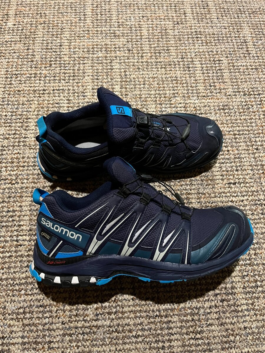 Salomon XA Pro 3D GTX, velikost 44