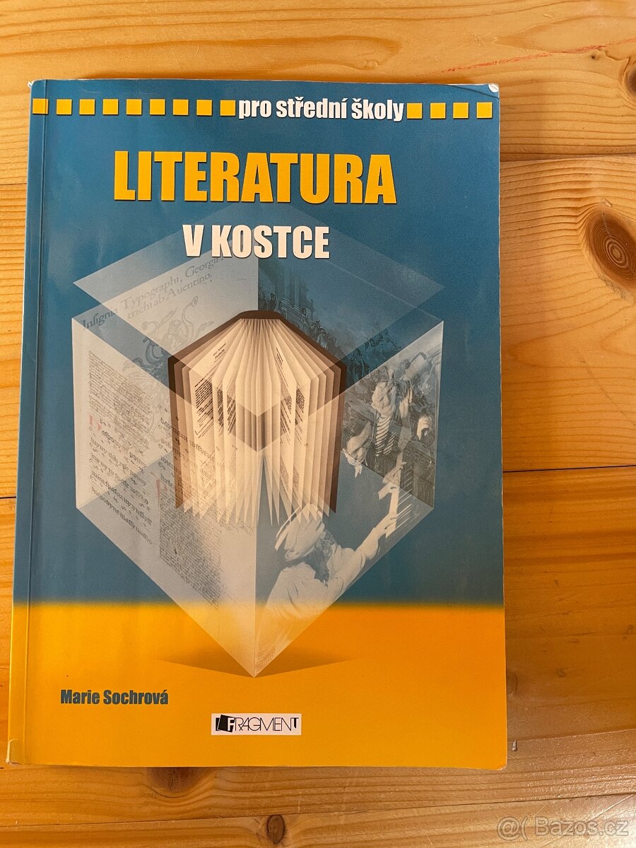 Literatura v kostce