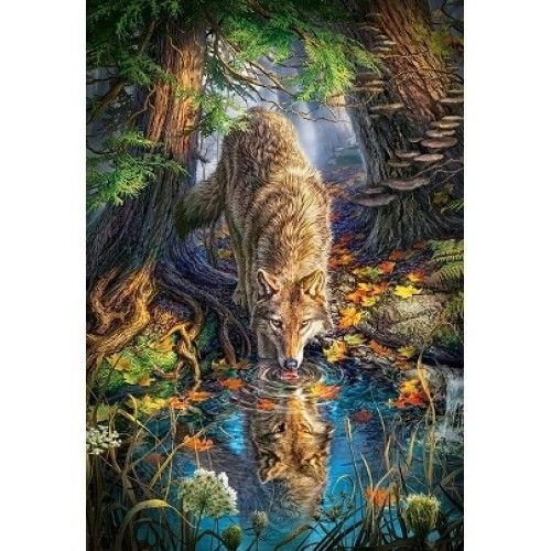 Puzzle Castorland 1500