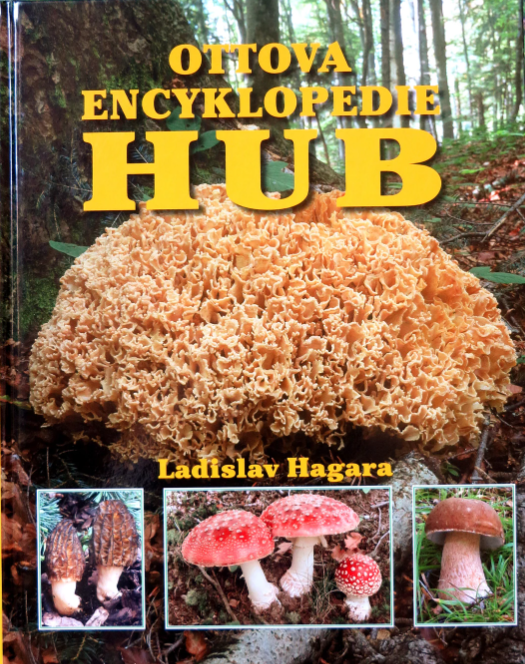 Ottova encyklopedie hub