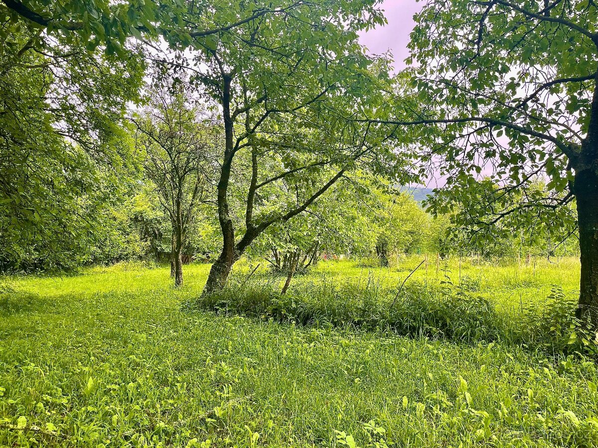 Stavební pozemek 3600 m2, obec Nemojany, okr. Vyškov