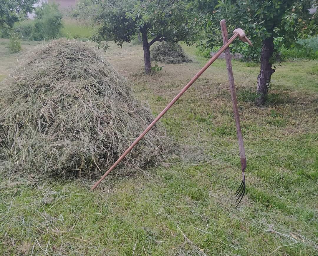 Letošní luční seno-uzrálé