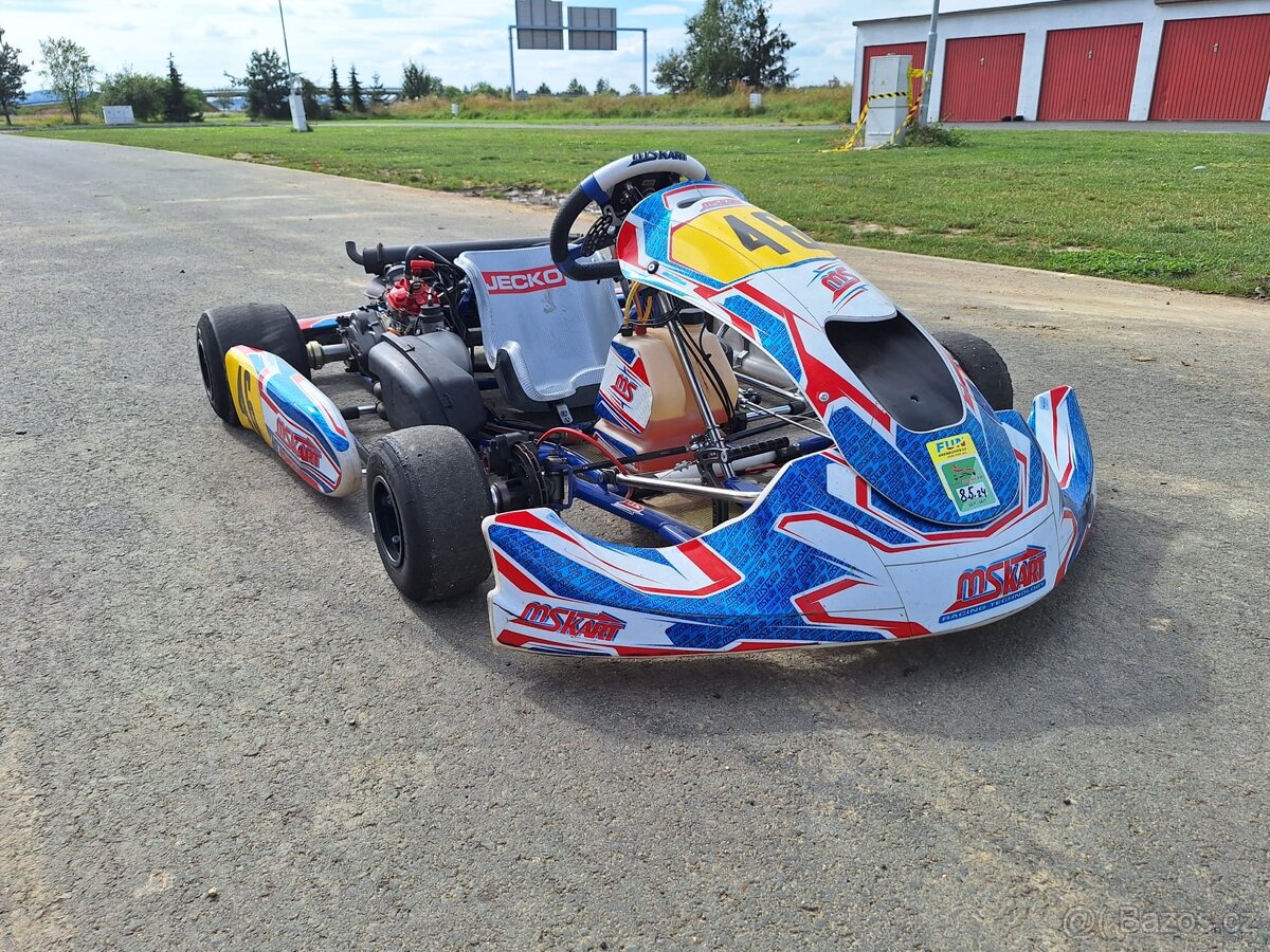 Motokára Rotax DD2 125ccm Ms Kart