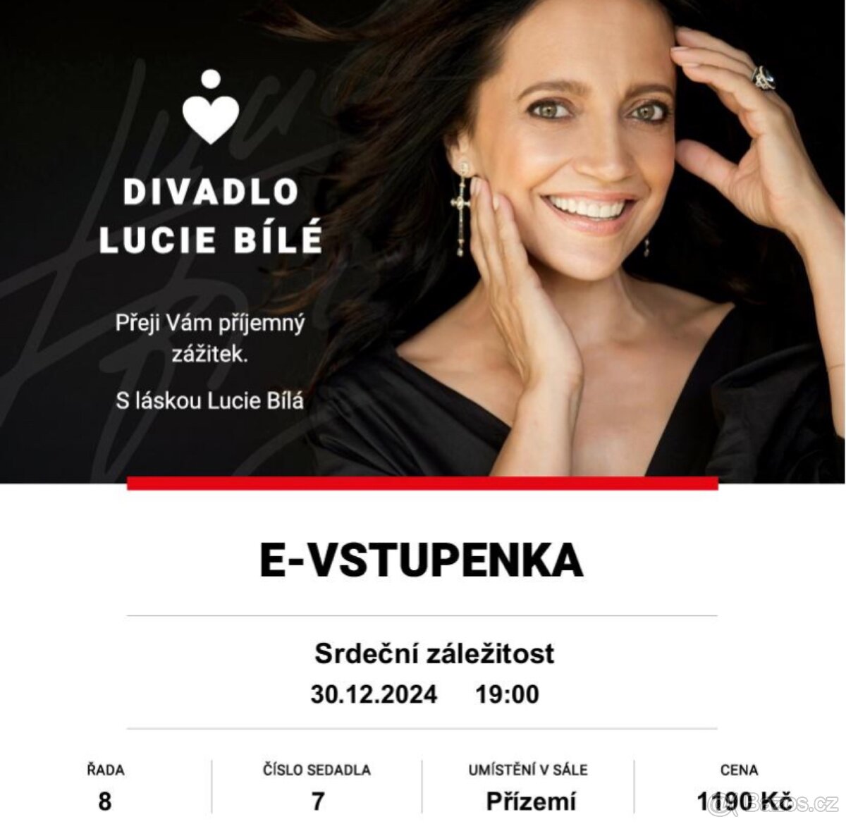 Srdeční záležitost - Divadlo Lucie Bílé