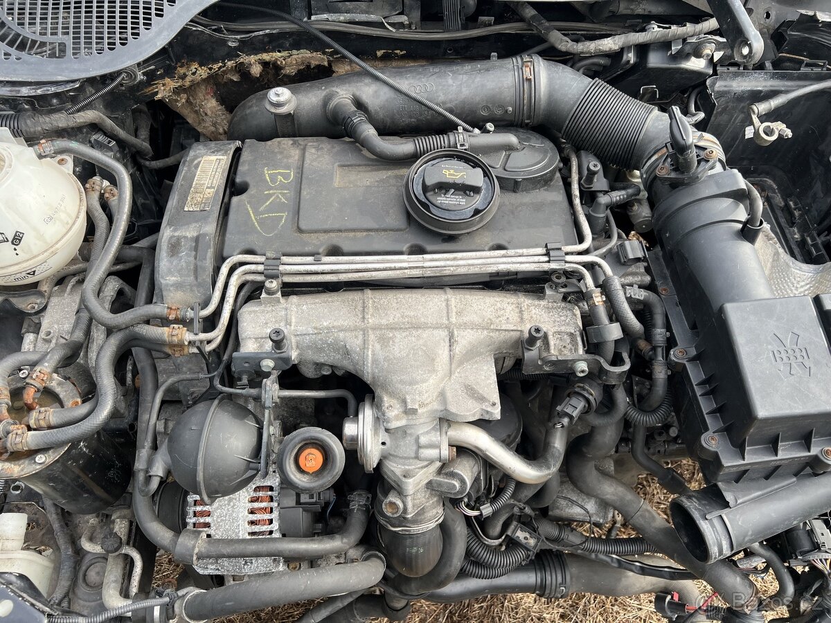 Motor BKD 2.0 TDI