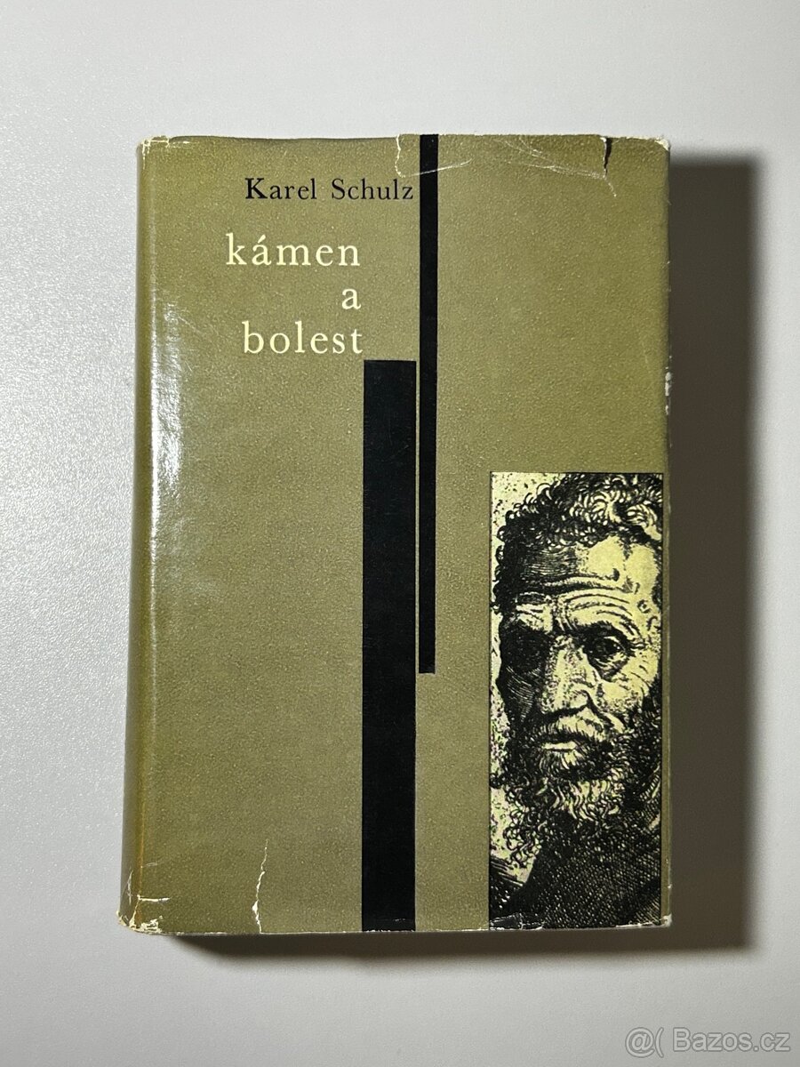 Kniha: “Kámen a bolest” Karel Schultz