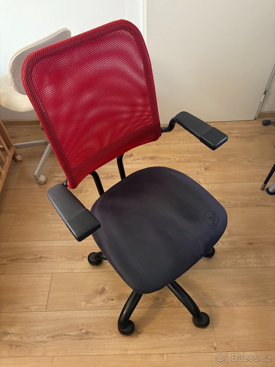 Kancelářská židle Spinalis Ergonomic