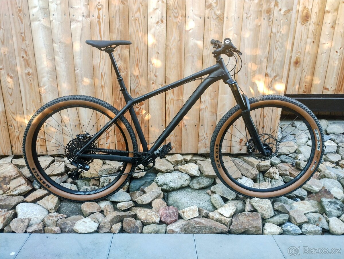 NSbikes 29" eccentric