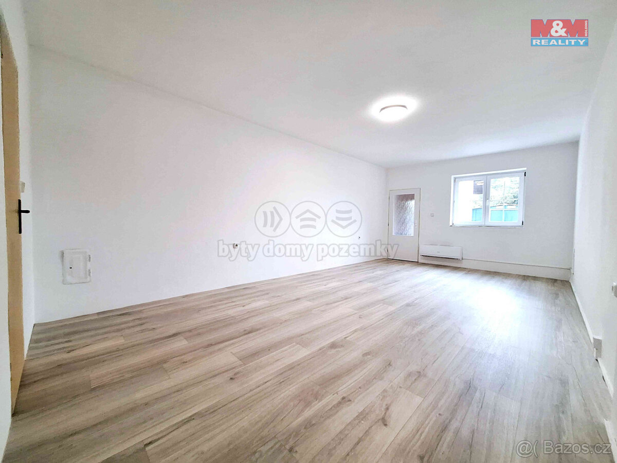 Pronájem bytu 1+1, 44 m², Nová Ves