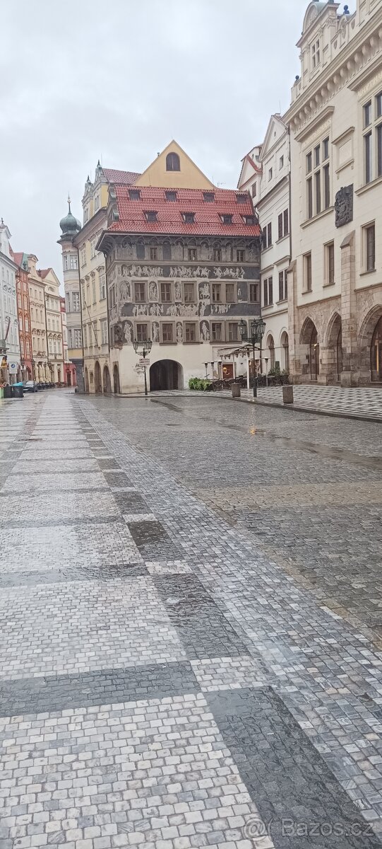 Pronájem obchodního prostoru 220 m2 Praha 1