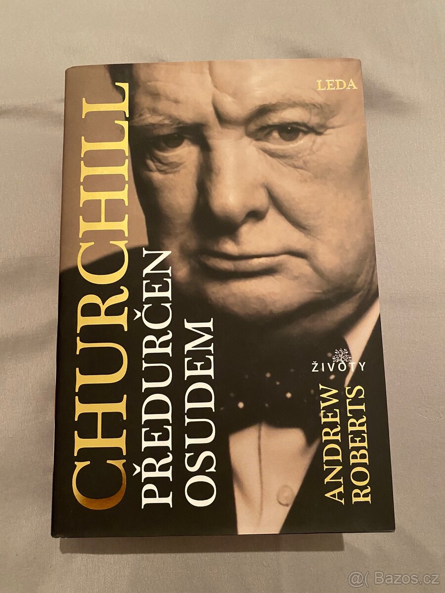 Churchill: Předurčen osudem