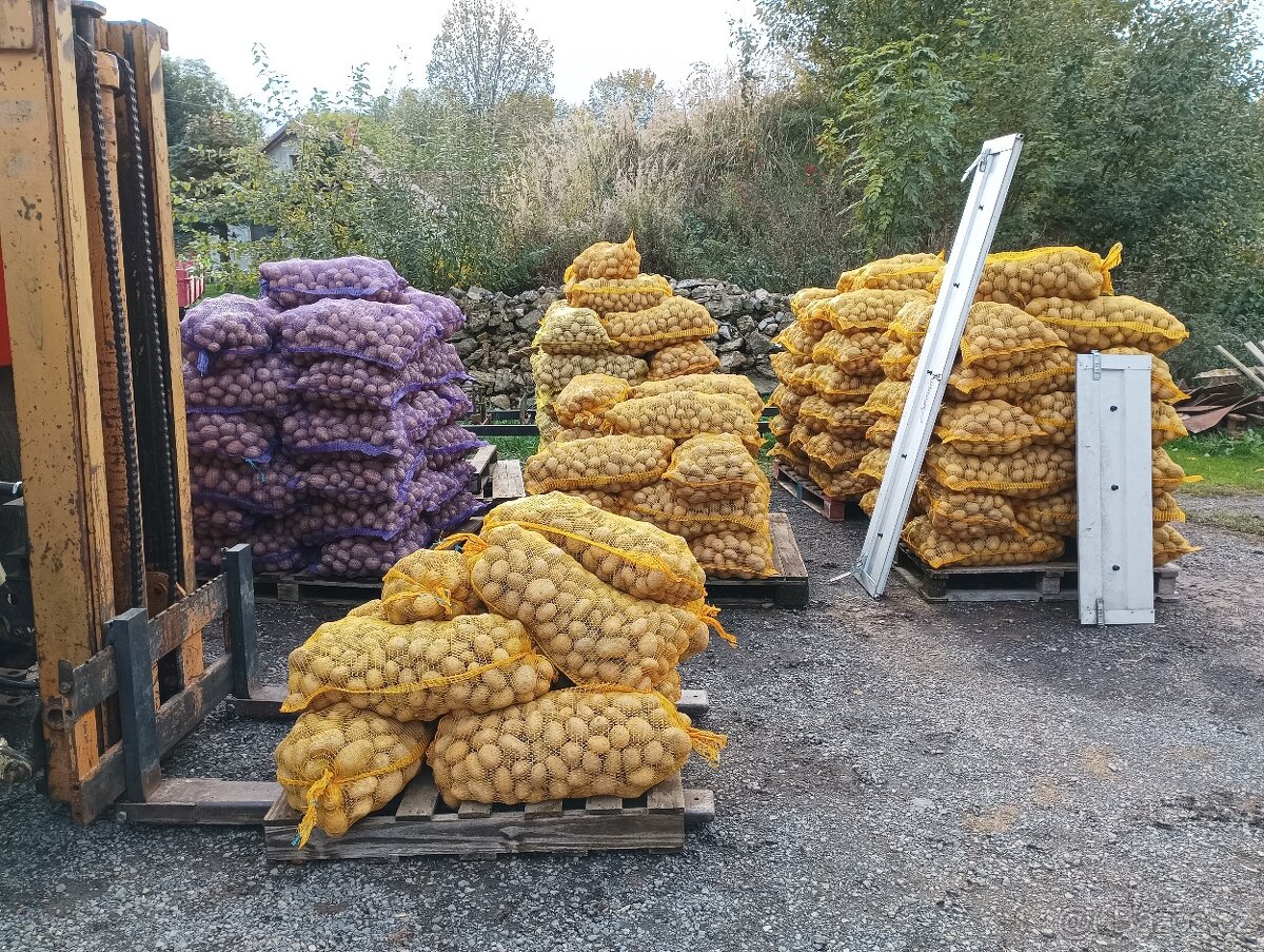 Prodám brambory na uskladnění.