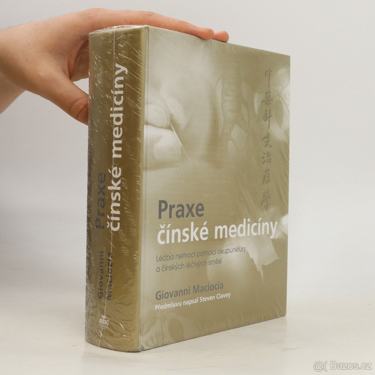 Praxe čínské medicíny - čínská medicína Nová