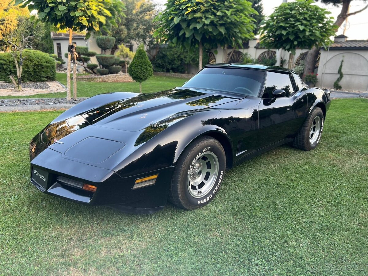 Corvette c3 1981 v8