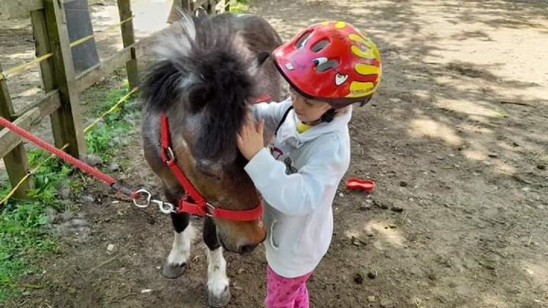 Dopoledne s koňmi a poníky: NEDĚLE 29.9.2024