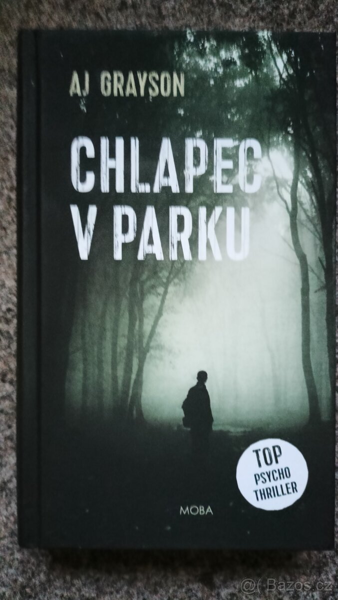 Knížka thriller - Chlapec v parku