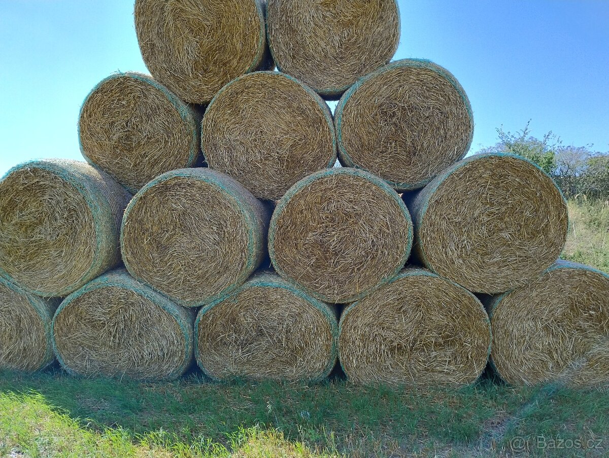 Balíky ovesná sláma lisovaná