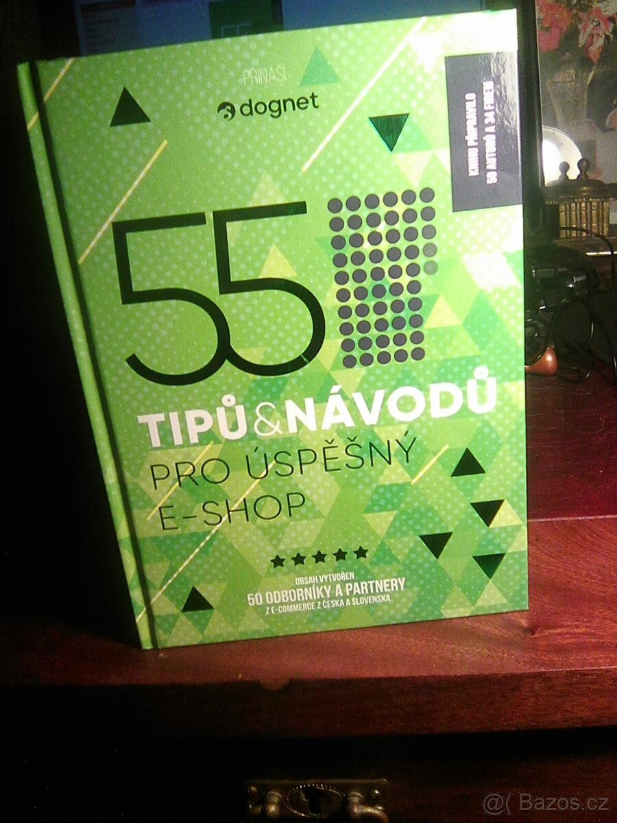 55 tipů & návodů pro úspěšný E-SHOP Hanka Čajková, nová