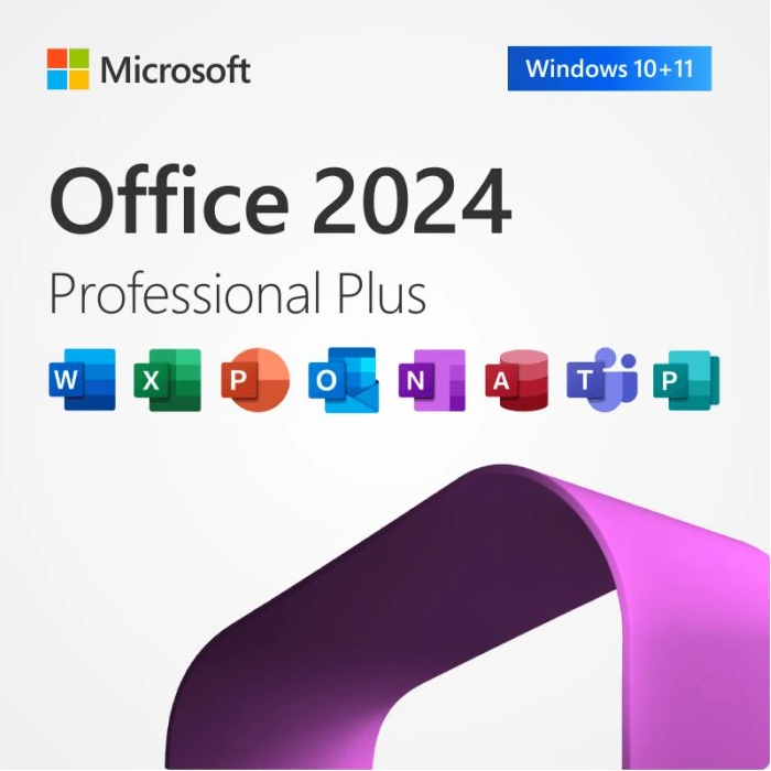 MS Office 2024 Professional Plus