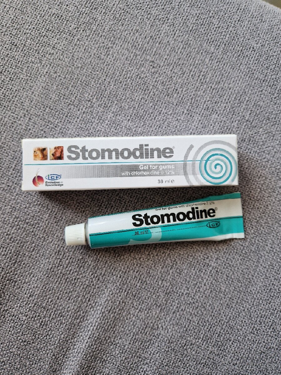 Stomodine gel pro kočky a psy. Na dásně