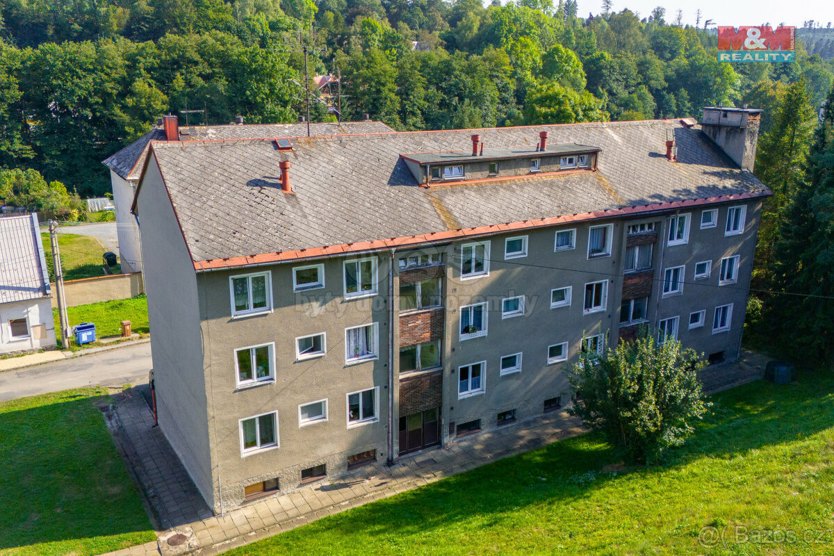 Prodej nájemního domu, 14 BJ, Domašov nad Bystřicí