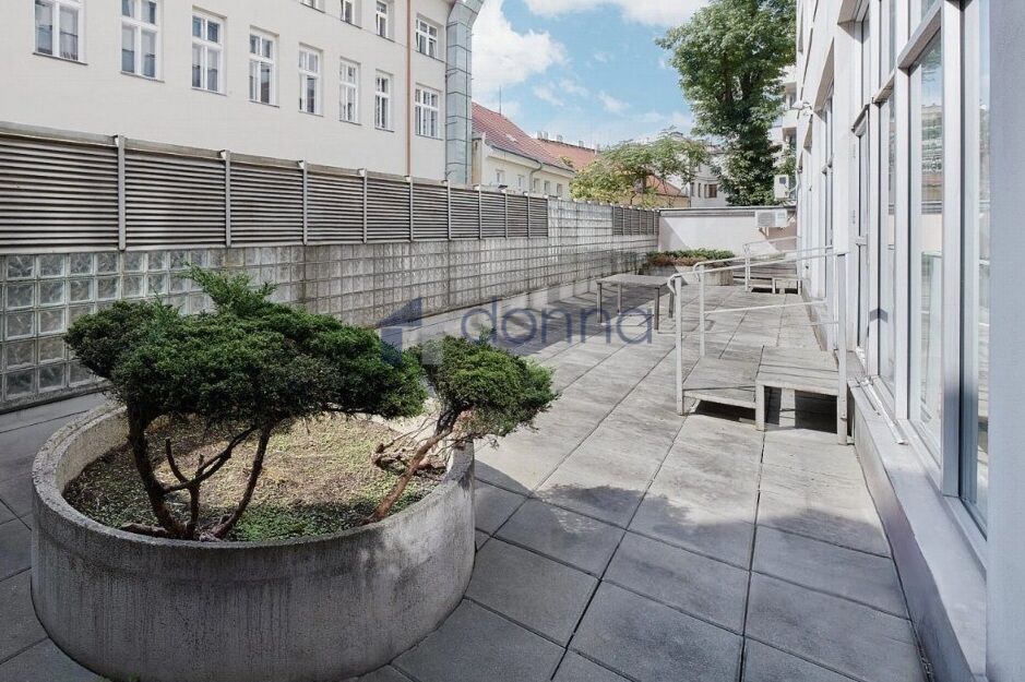 Pronájem obchodního prostoru 500 m², ul. Krakovská, Praha 1-