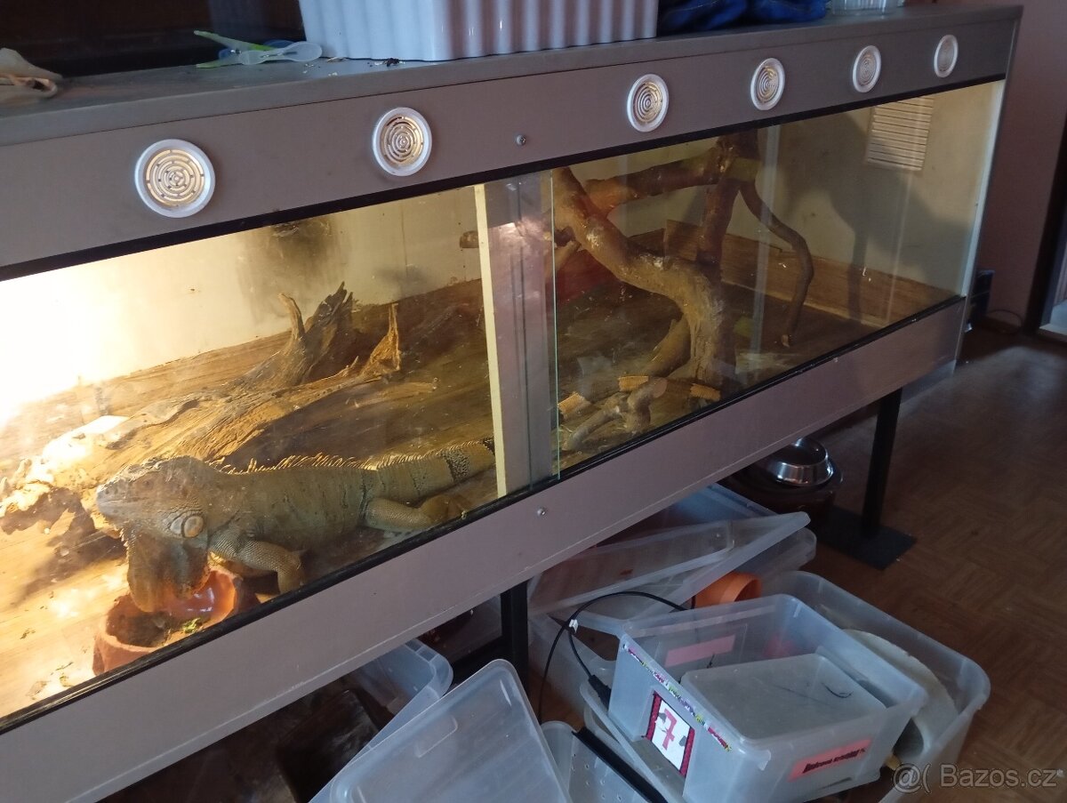 Terararium