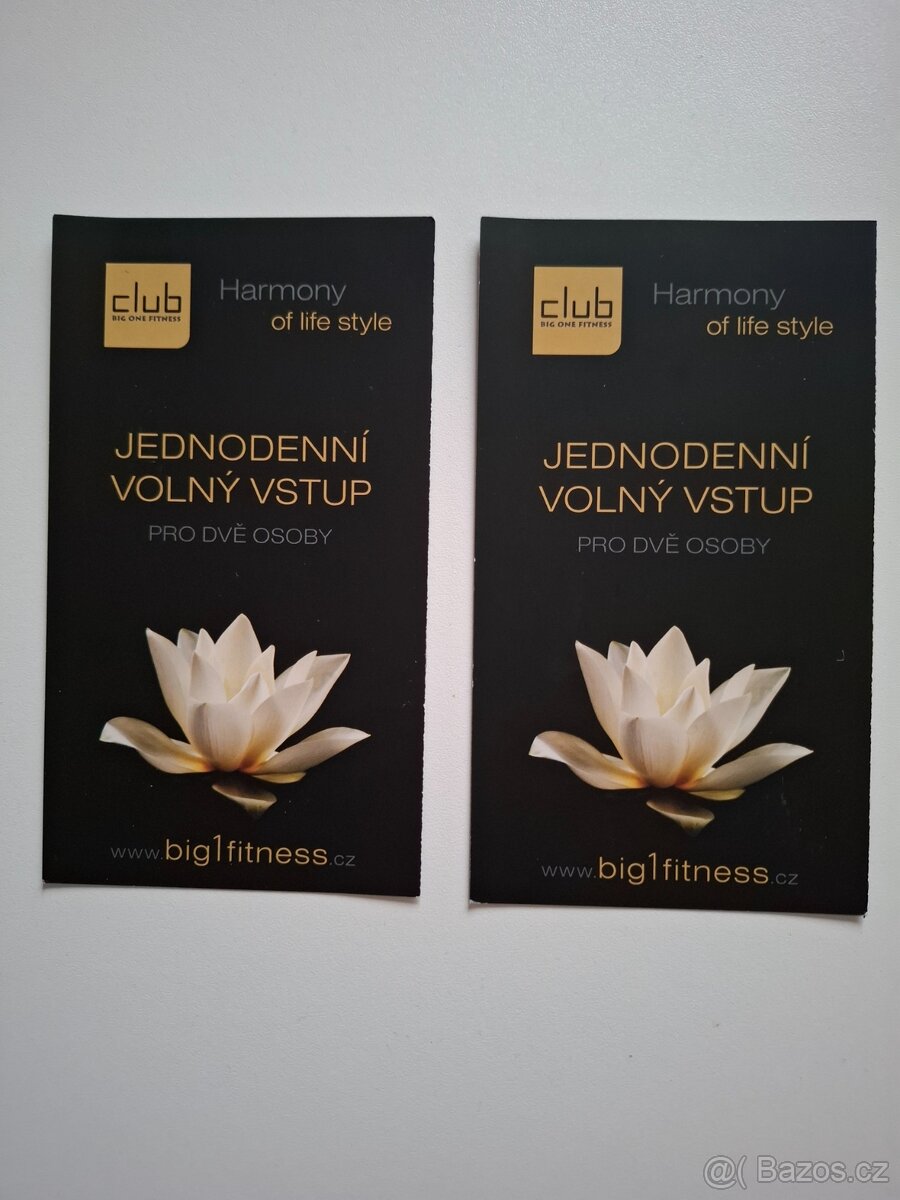 Jednodenní vstupenky do Big one fitness včetně wellness Brno