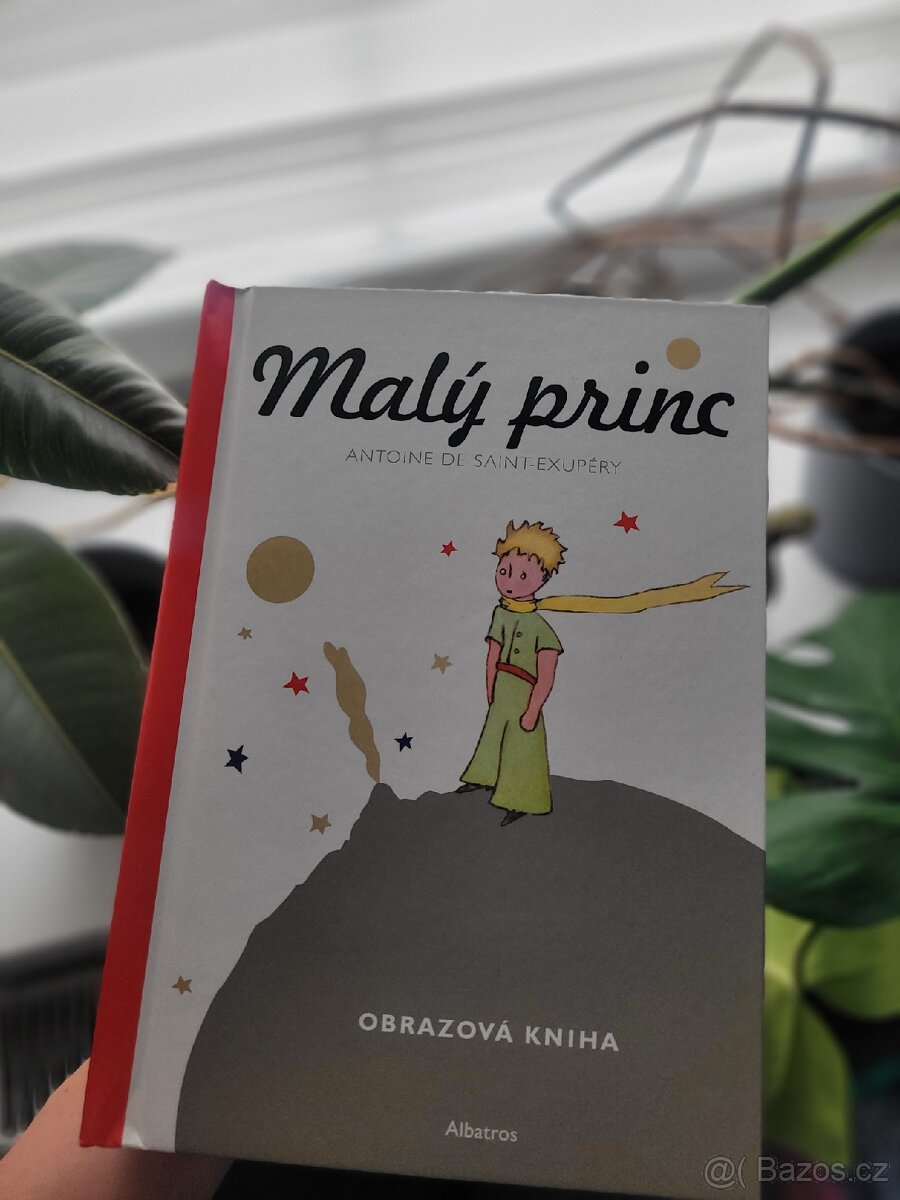 NOVÁ kniha Malý princ - obrazová kniha 3D