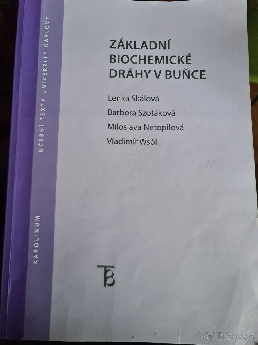 Základní biochemické dráhy v buňce