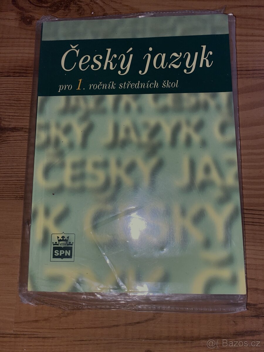 Český jazyk pro první ročník středních škol