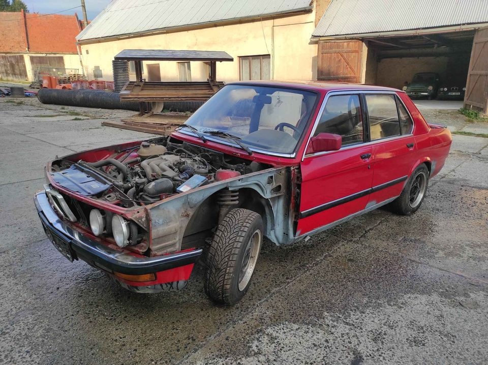 bmw e28 žralok