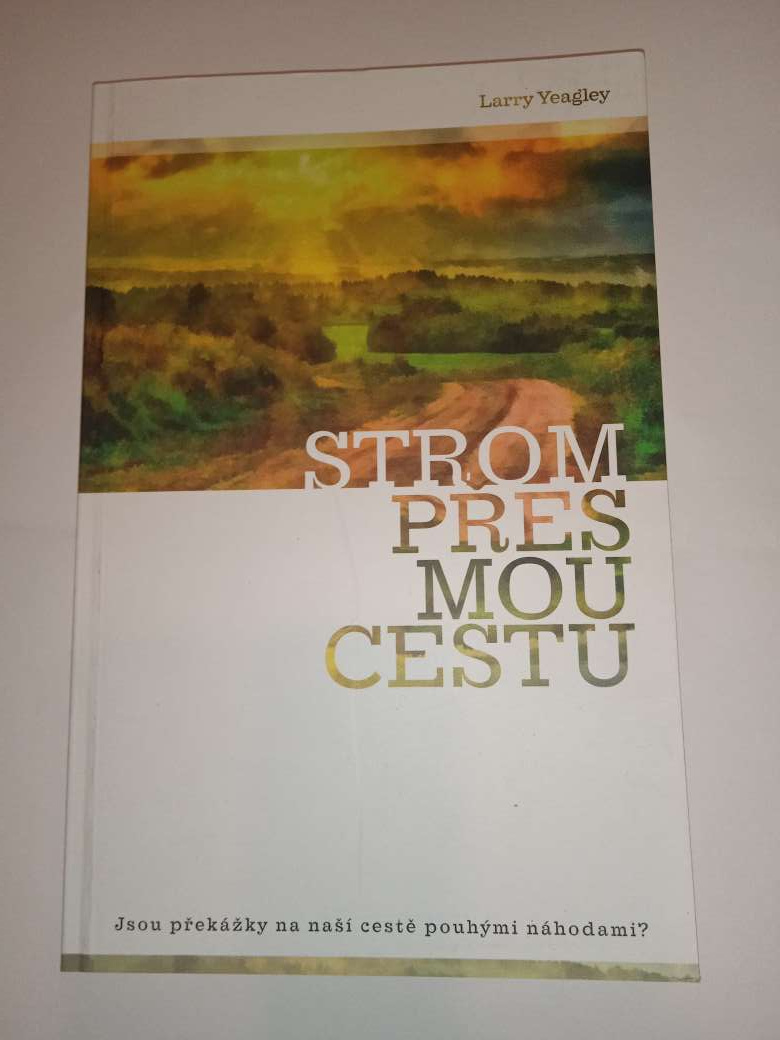 Strom přes mou cestu- Larry Yeagley