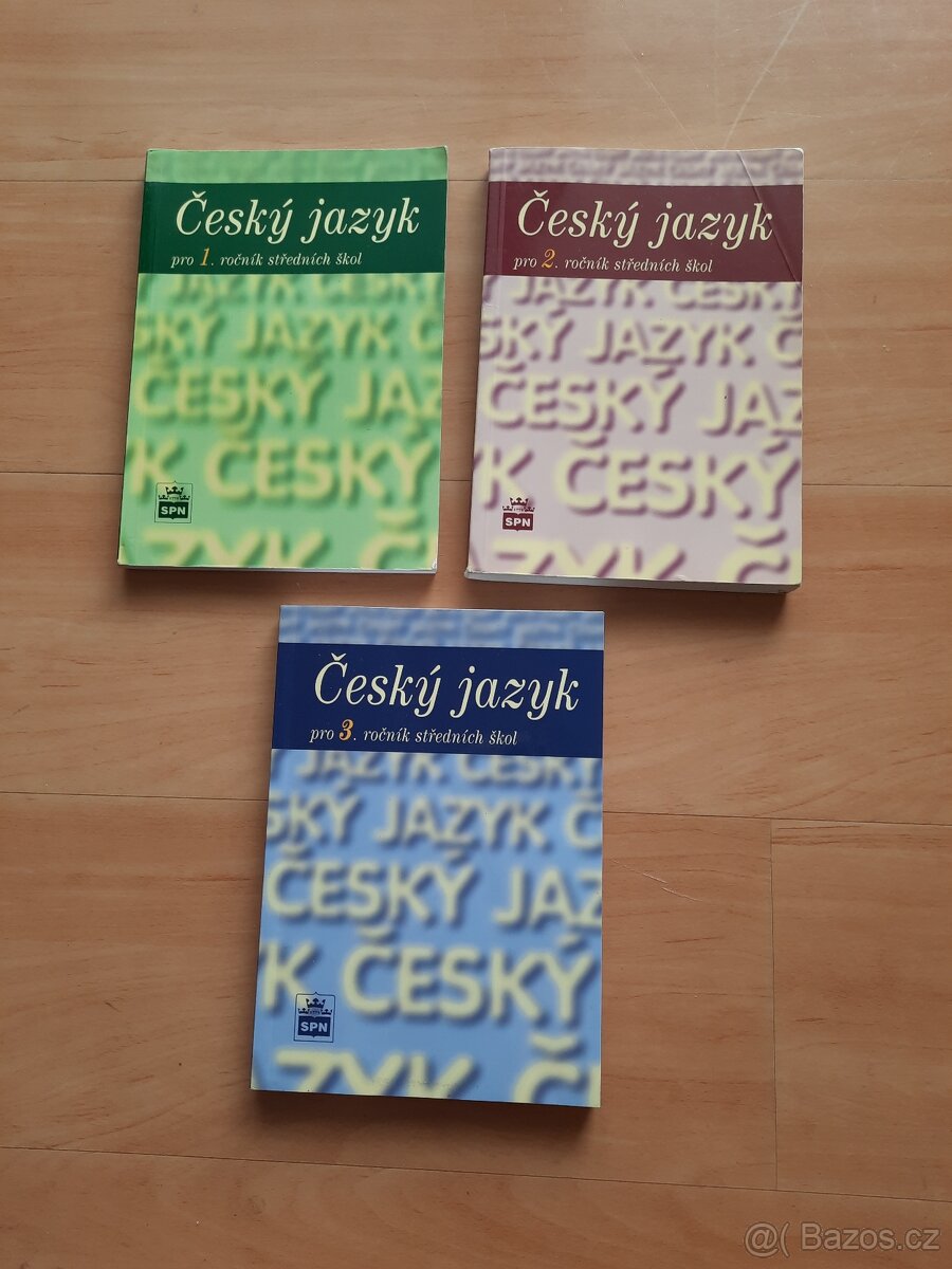 Český jazyk pro střední školy