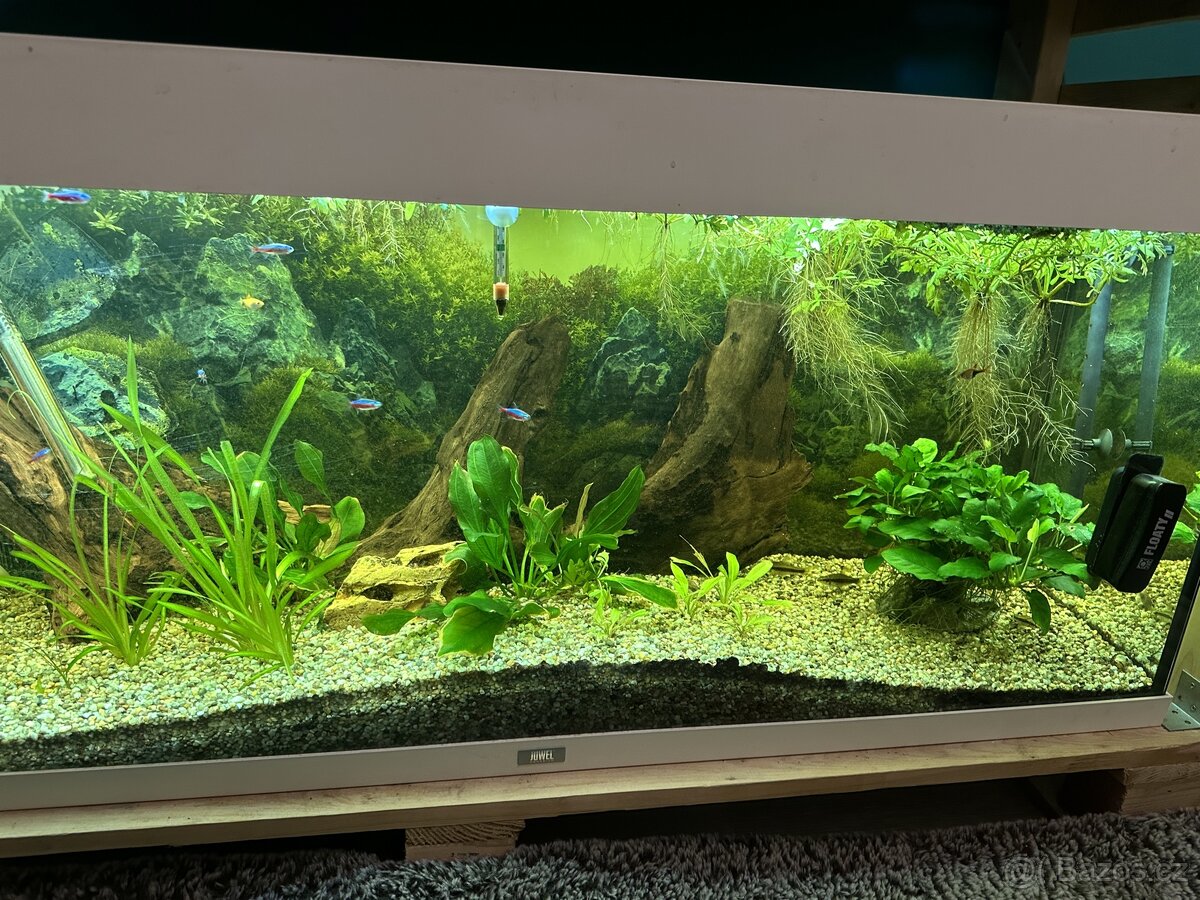 Juwel Akvarium 240 L a příslušenství