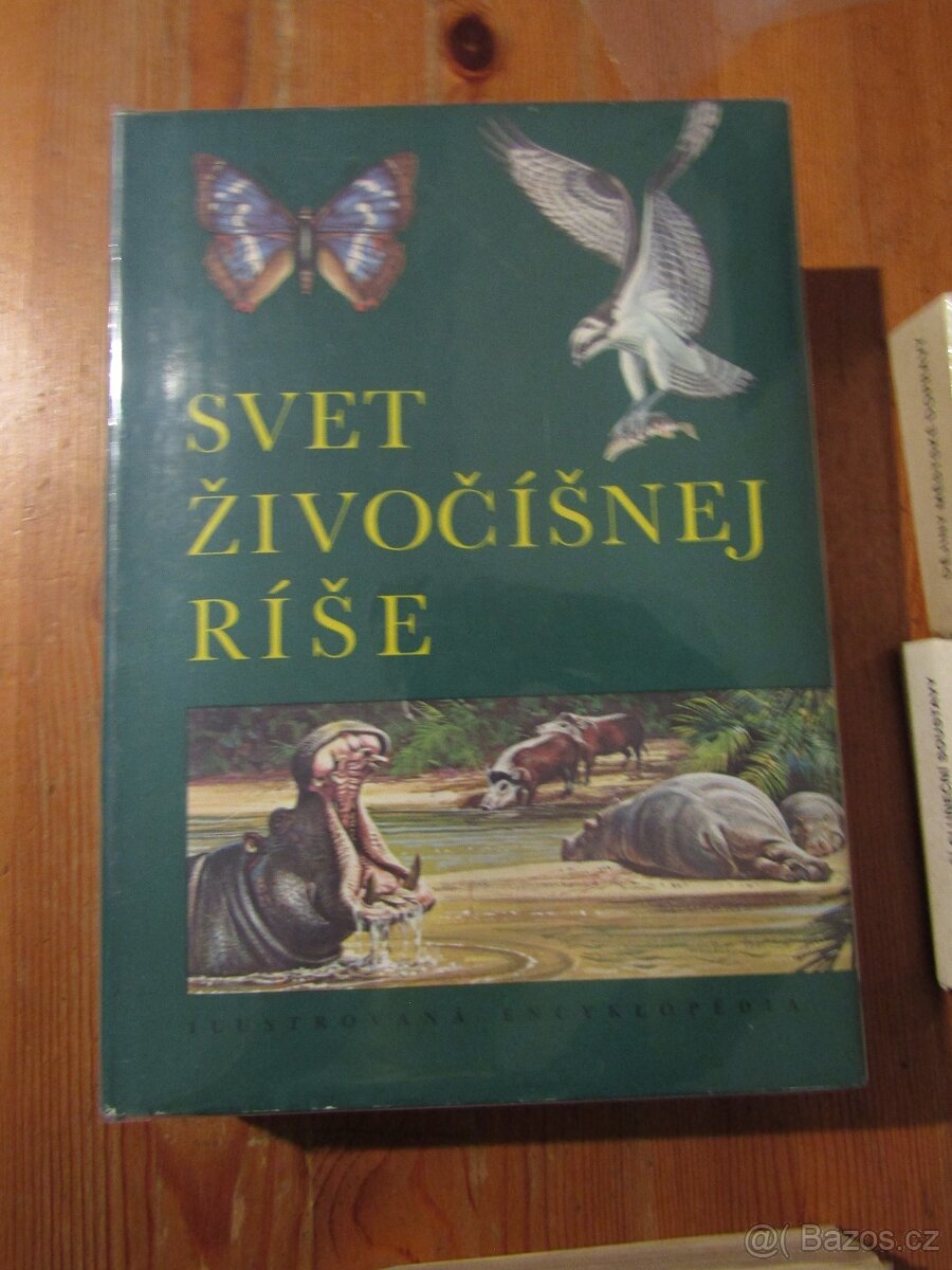 Svet živočišnej ríše - Od Agamy po žraloka ve slovenštině