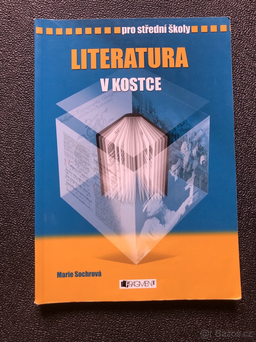 Literatura v kostce