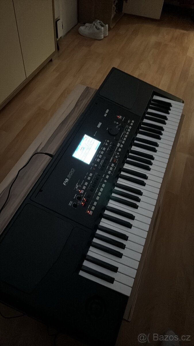 korg pa 300