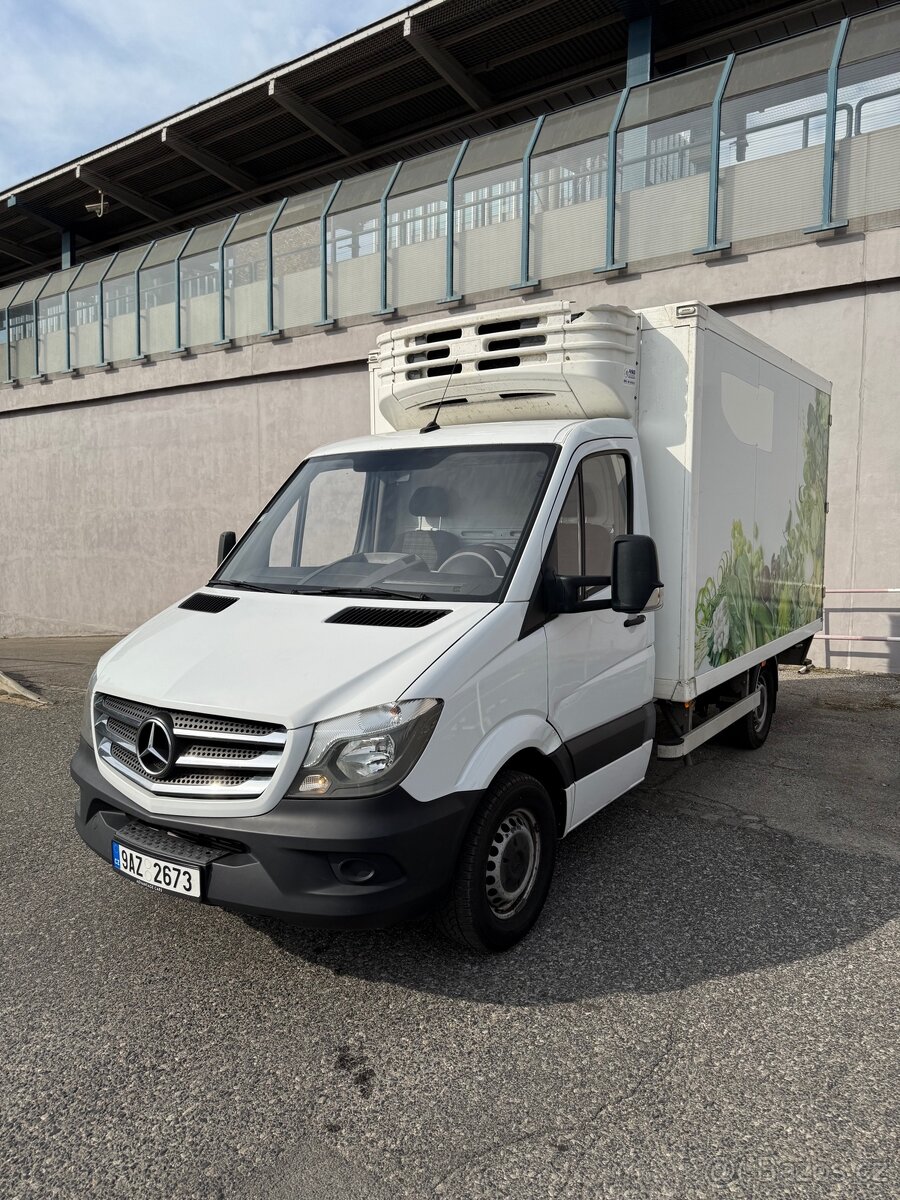 Pronájem Mercedes Benz Sprinter 316cdi / mrazák