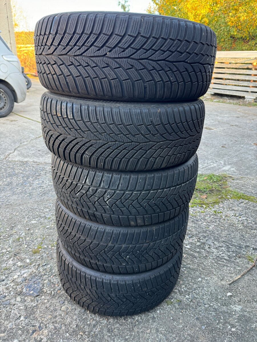 Zimní pneumatiky 225/50 R17