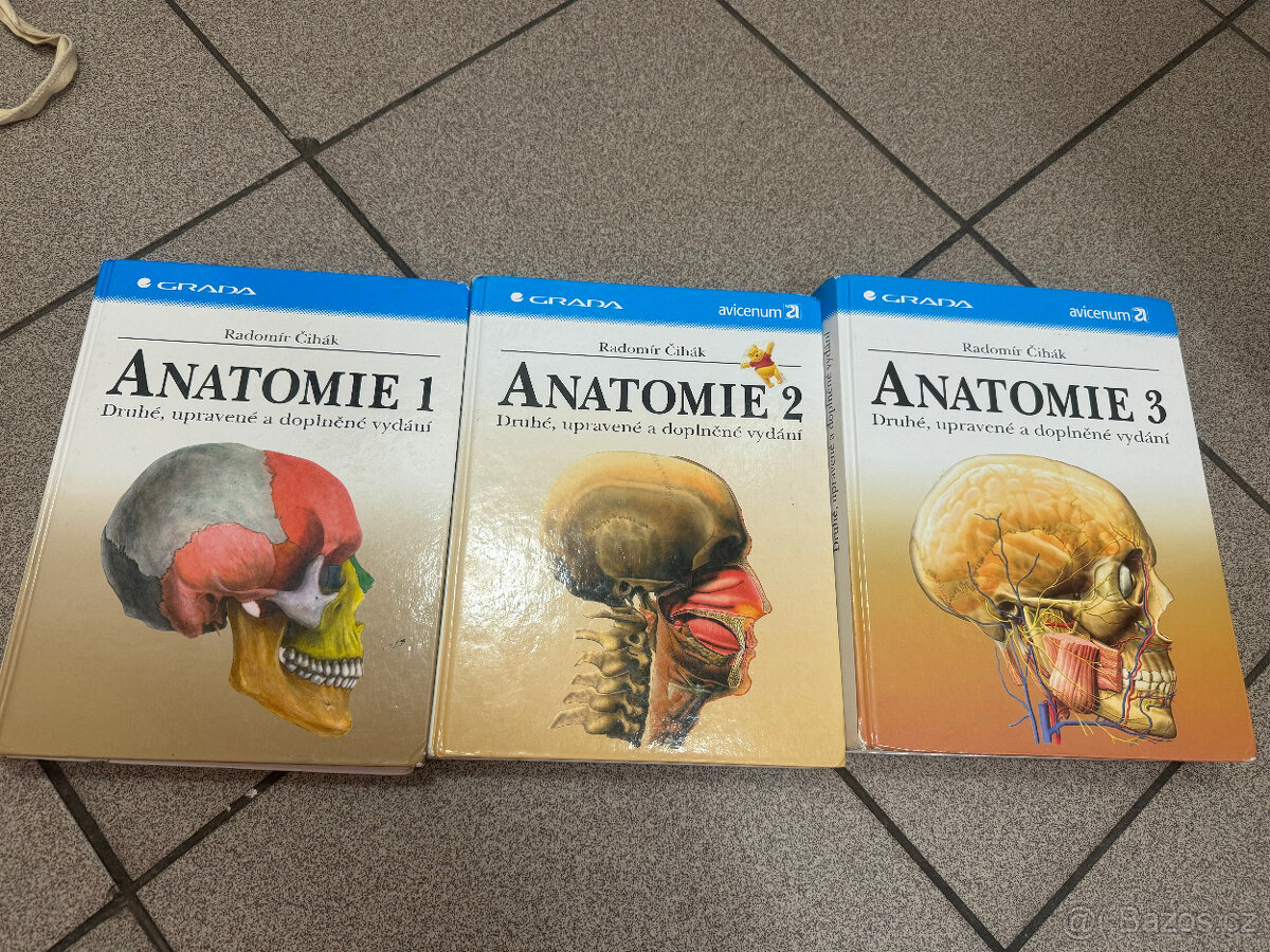 ANATOMIE-1-3