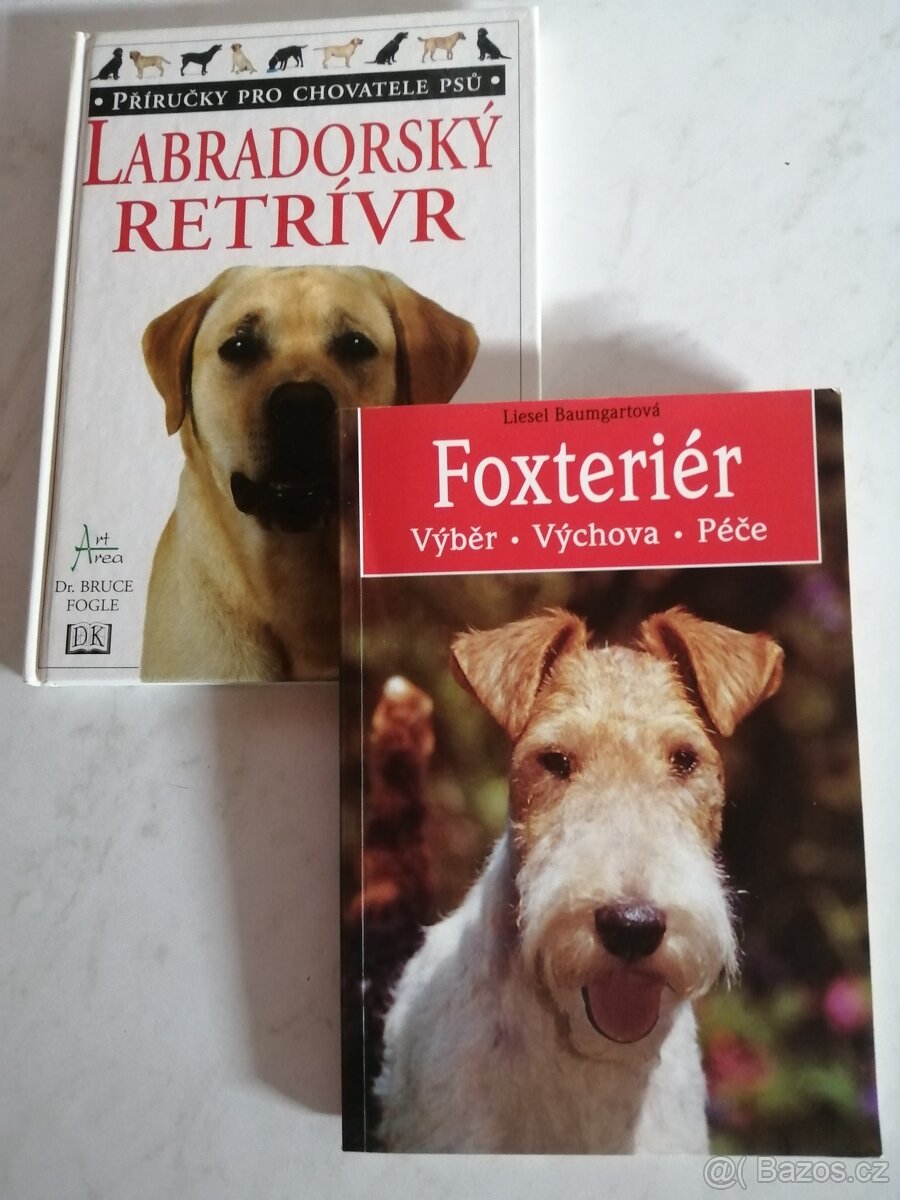 Jezevčík + Labradorský retrívr + Foxteriér + Dobrman