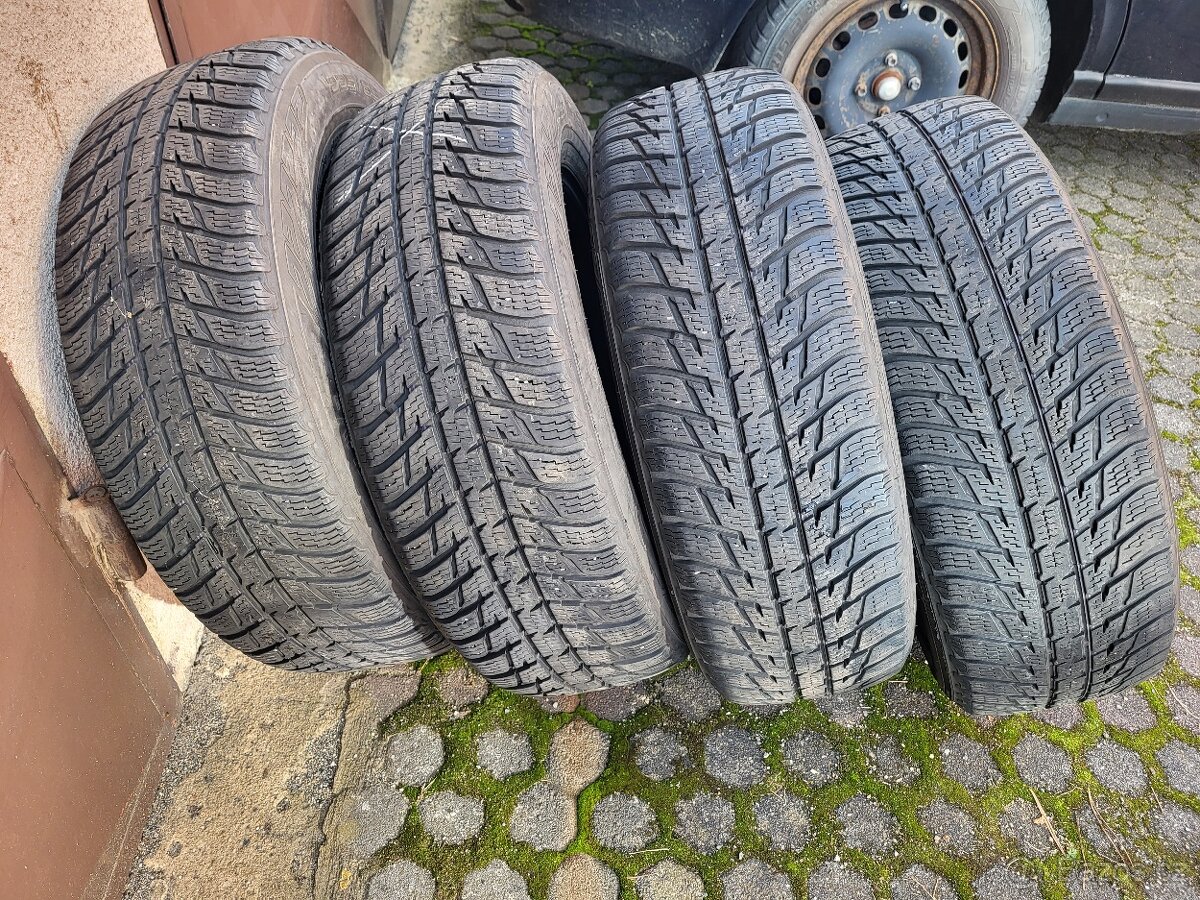 225/65 R17 Nokian WR SUV 3