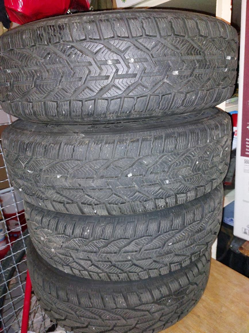 Zimní kola 185/65R15,4x100