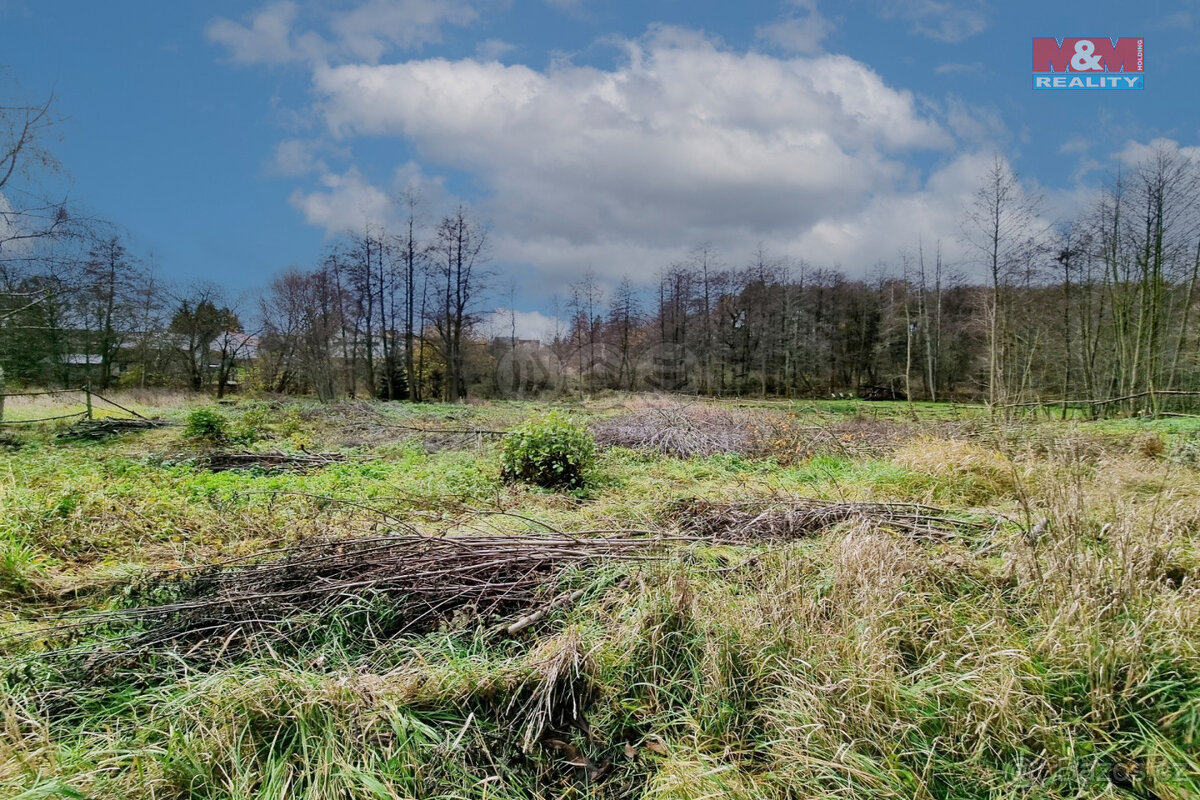 Prodej pozemku k bydlení, 1000 m², Františkovy Lázně