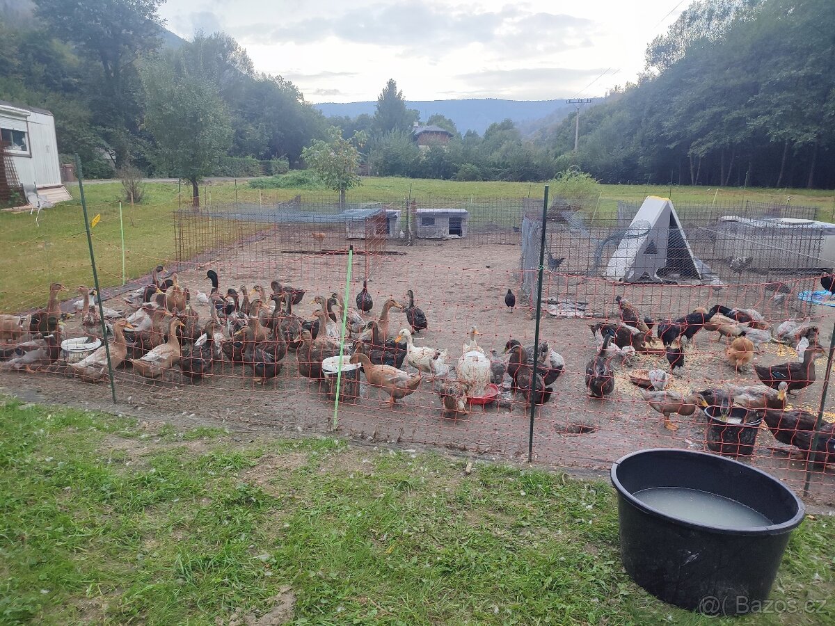 Pozemek v lukrativní části města Třince