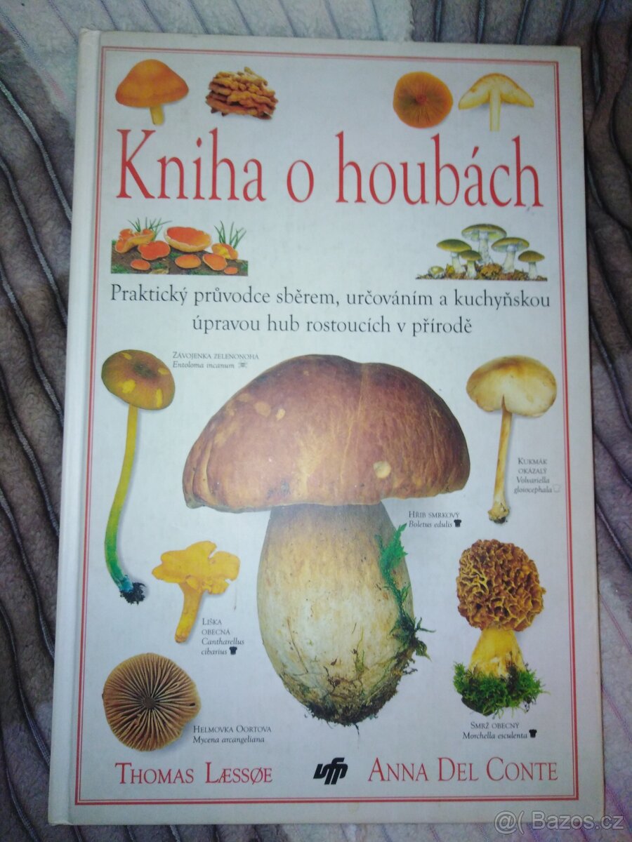 Kniha o houbách