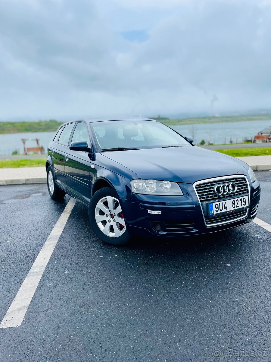 Audi A3 8P 2.0 TDI DSG