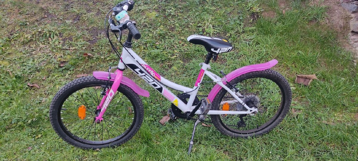 Dětské kolo Dinobikes model Aurelia vel 20"